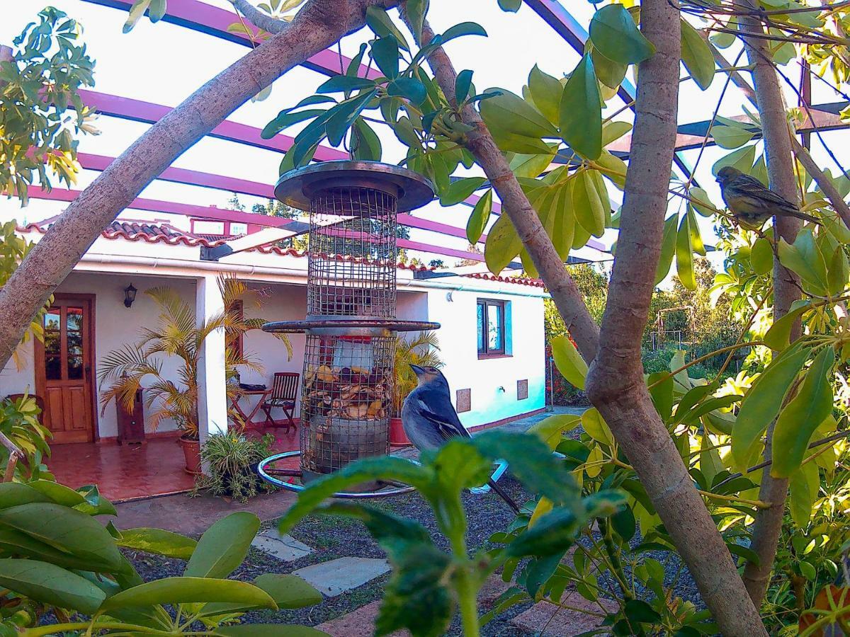 Willa La Casa De La Cartita Puntagorda Zewnętrze zdjęcie